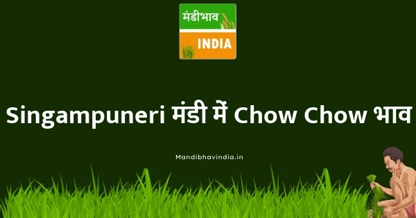 Chow Chow भाव